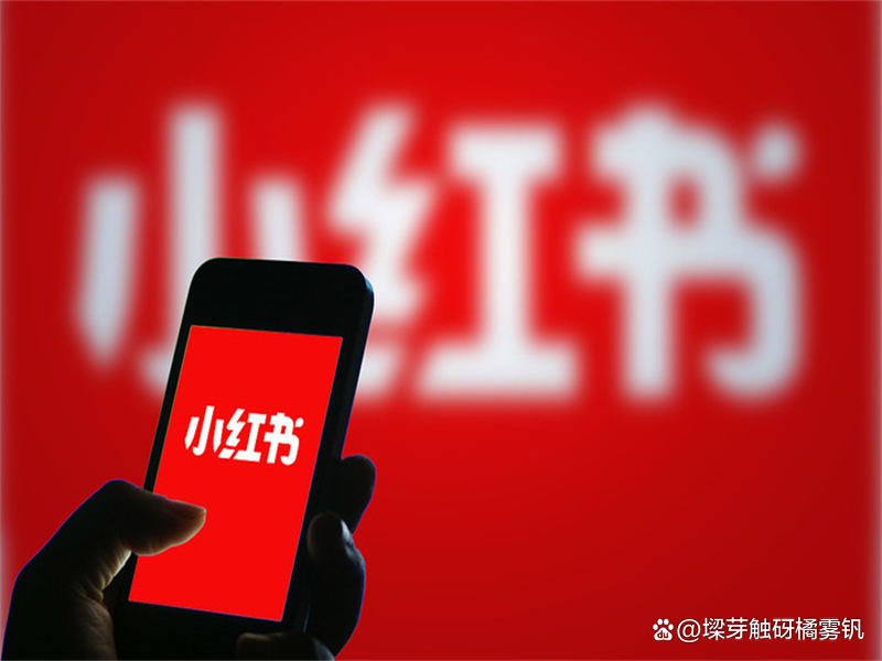 品牌投放